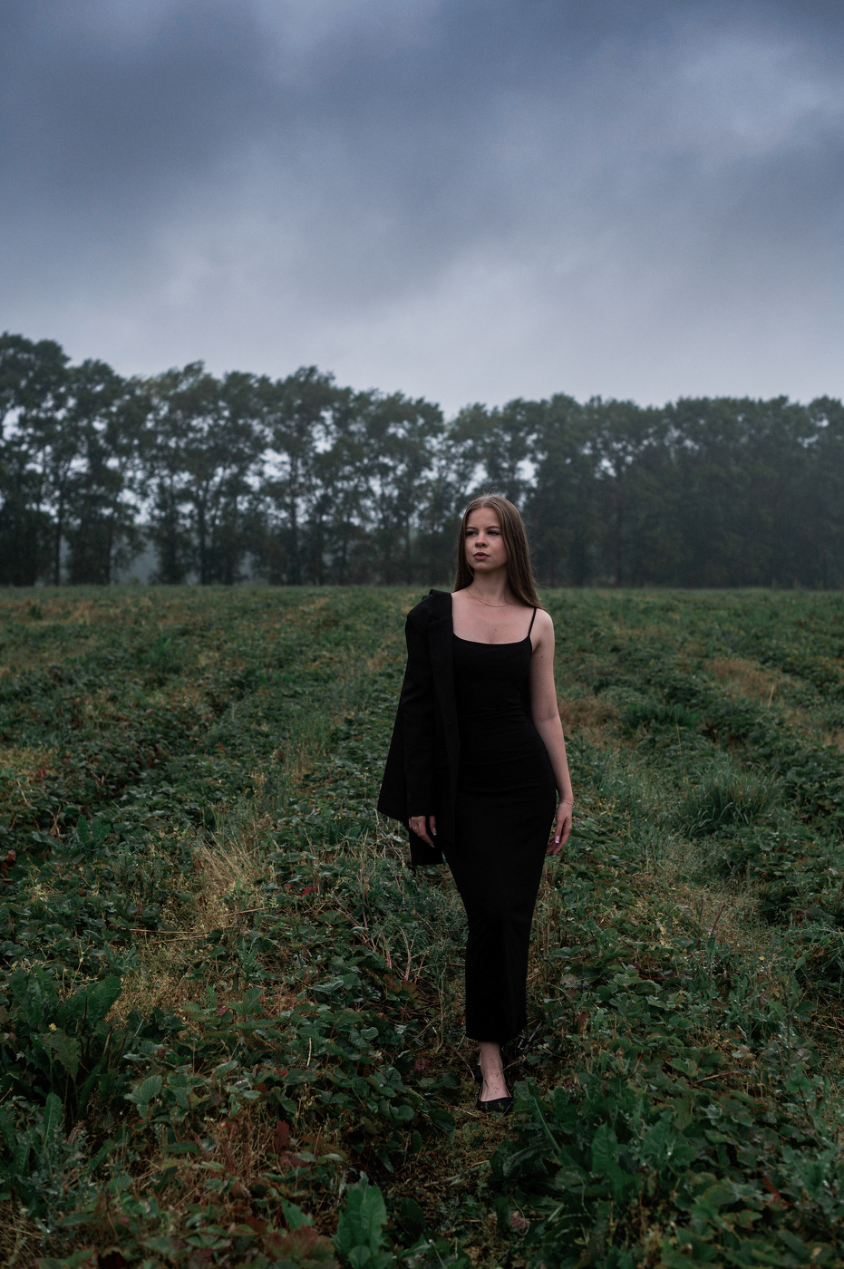 В поле клубники