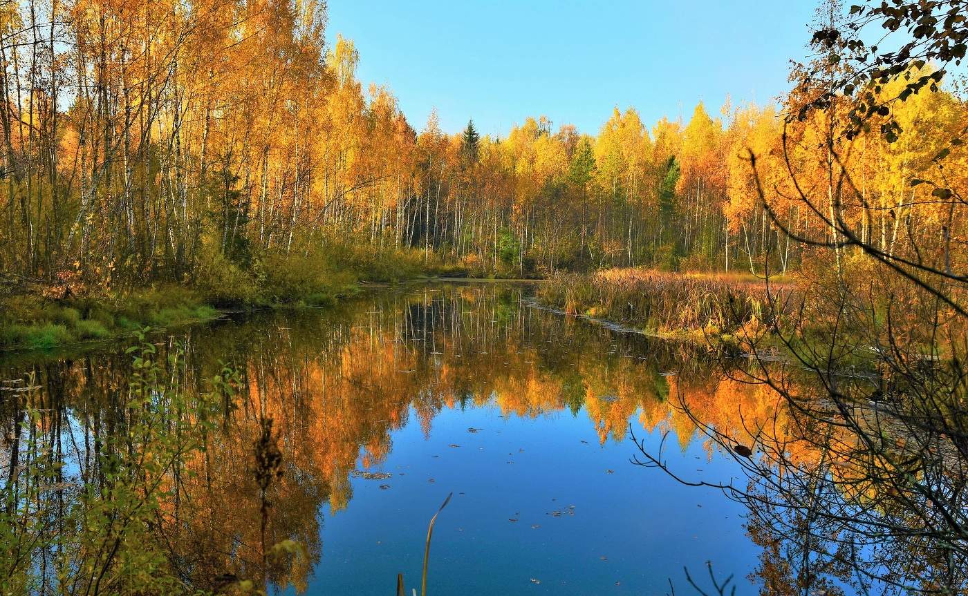 "Вот и лето прошло - словно и не бывало ..."