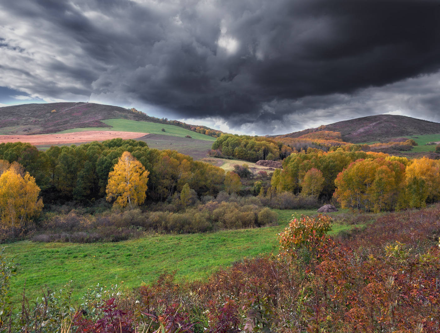 Осенняя палитра