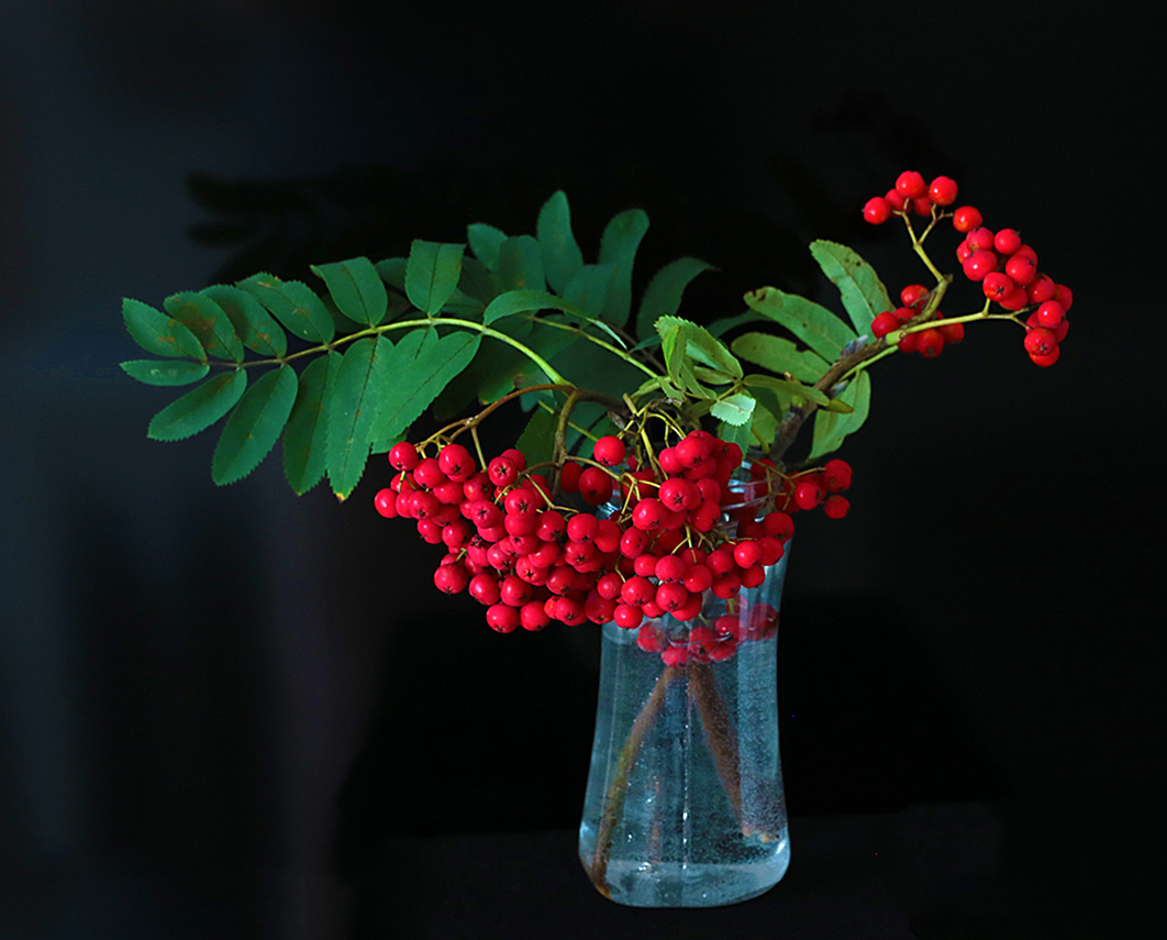 Рябиновый букет