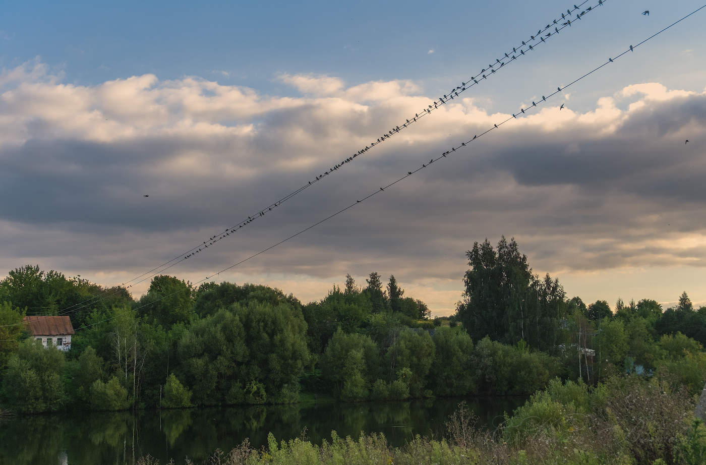 В шеренгу становись!!!