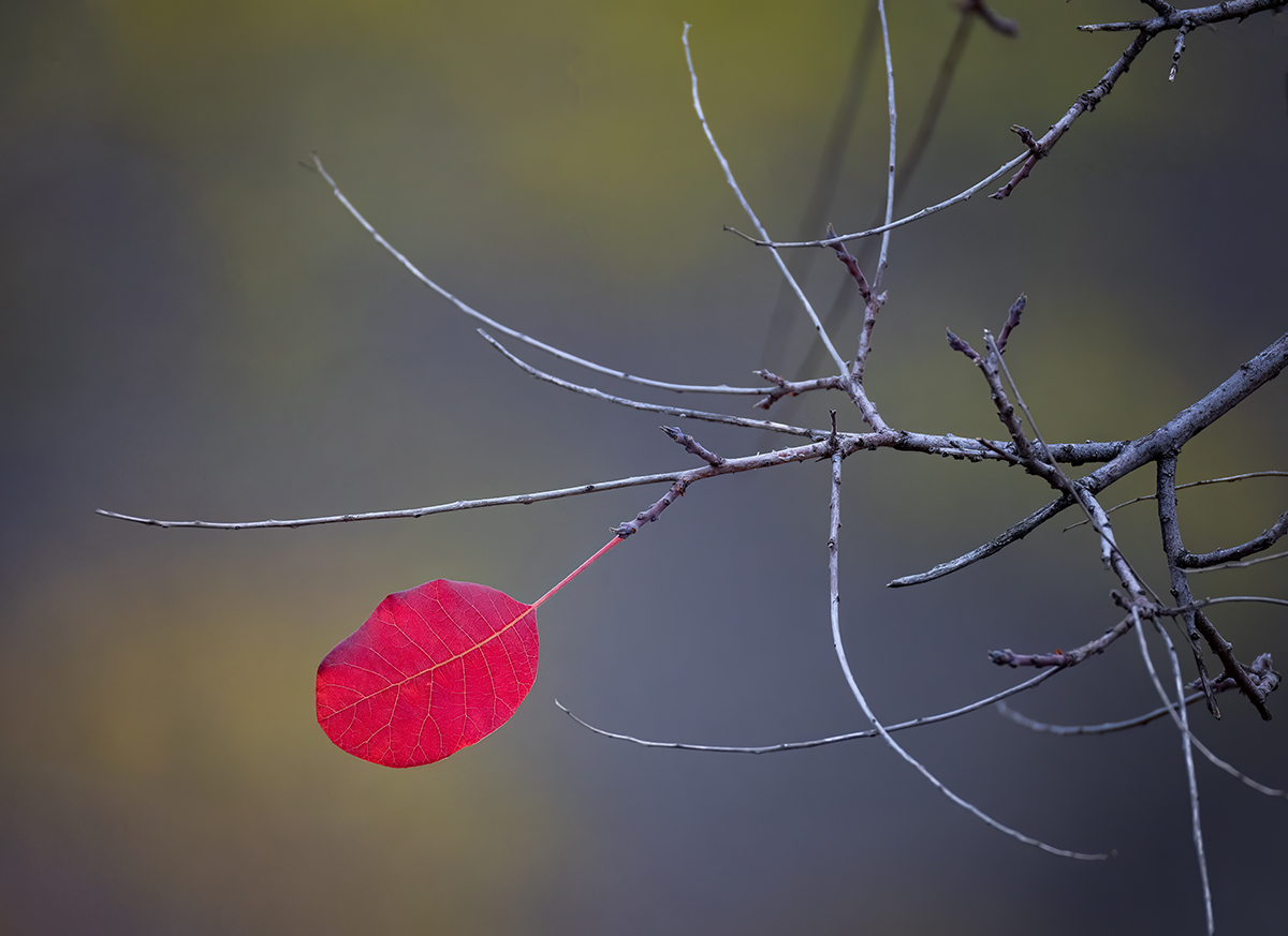 Один в поле