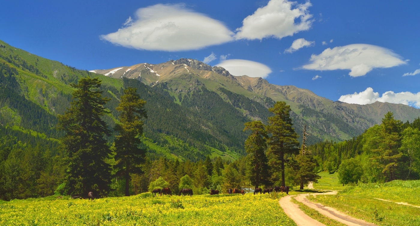 Лето в горах Кавказа