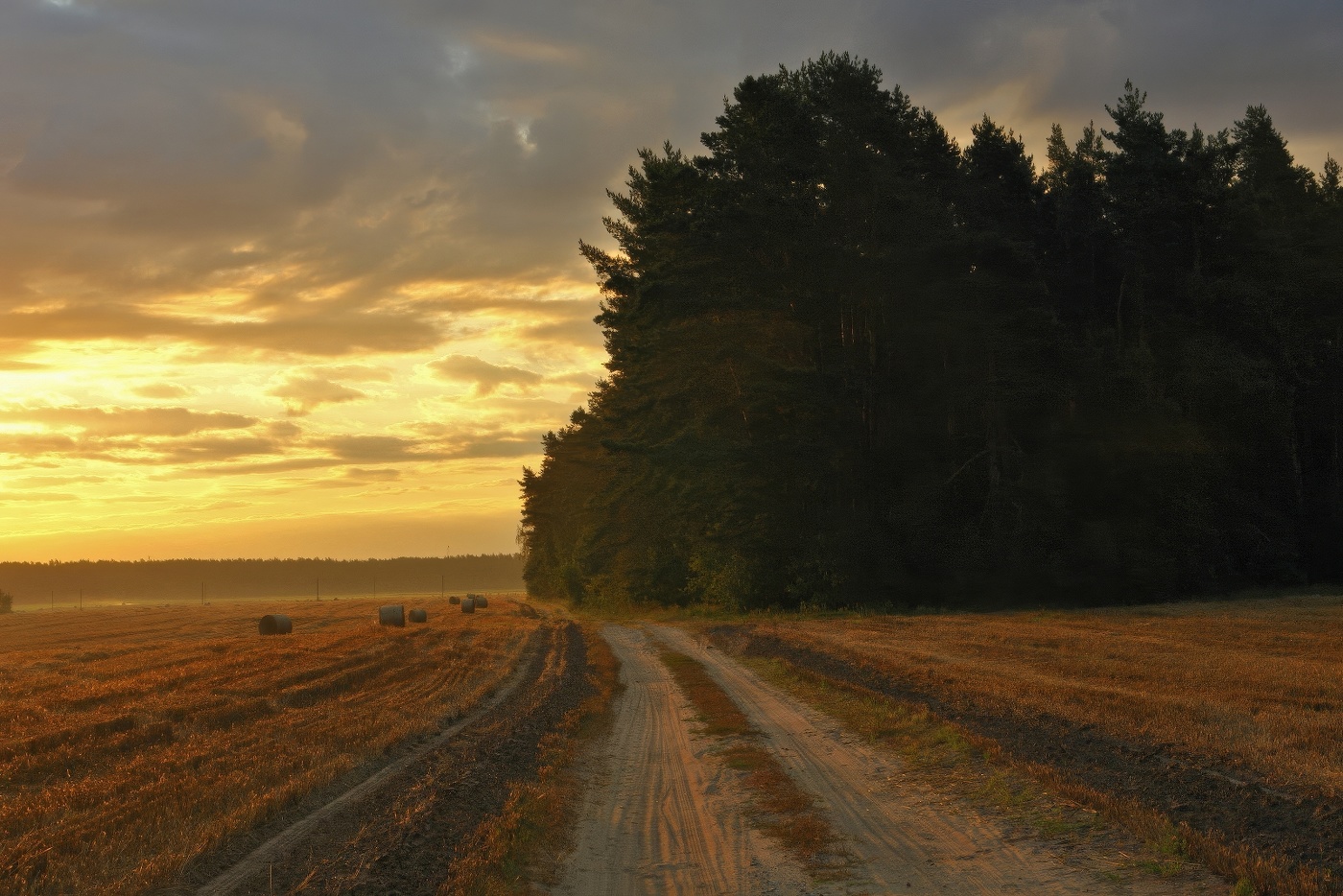 Ожидание осени