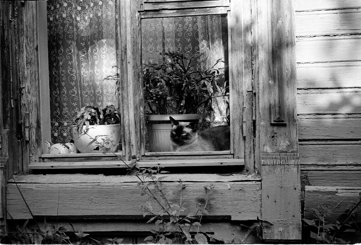 Декабристы