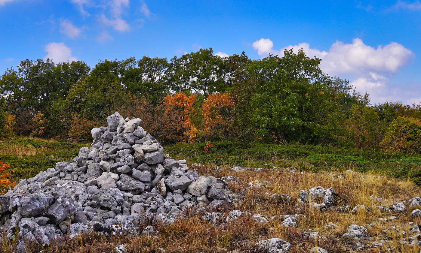 "Уж небо осенью дышало..."
