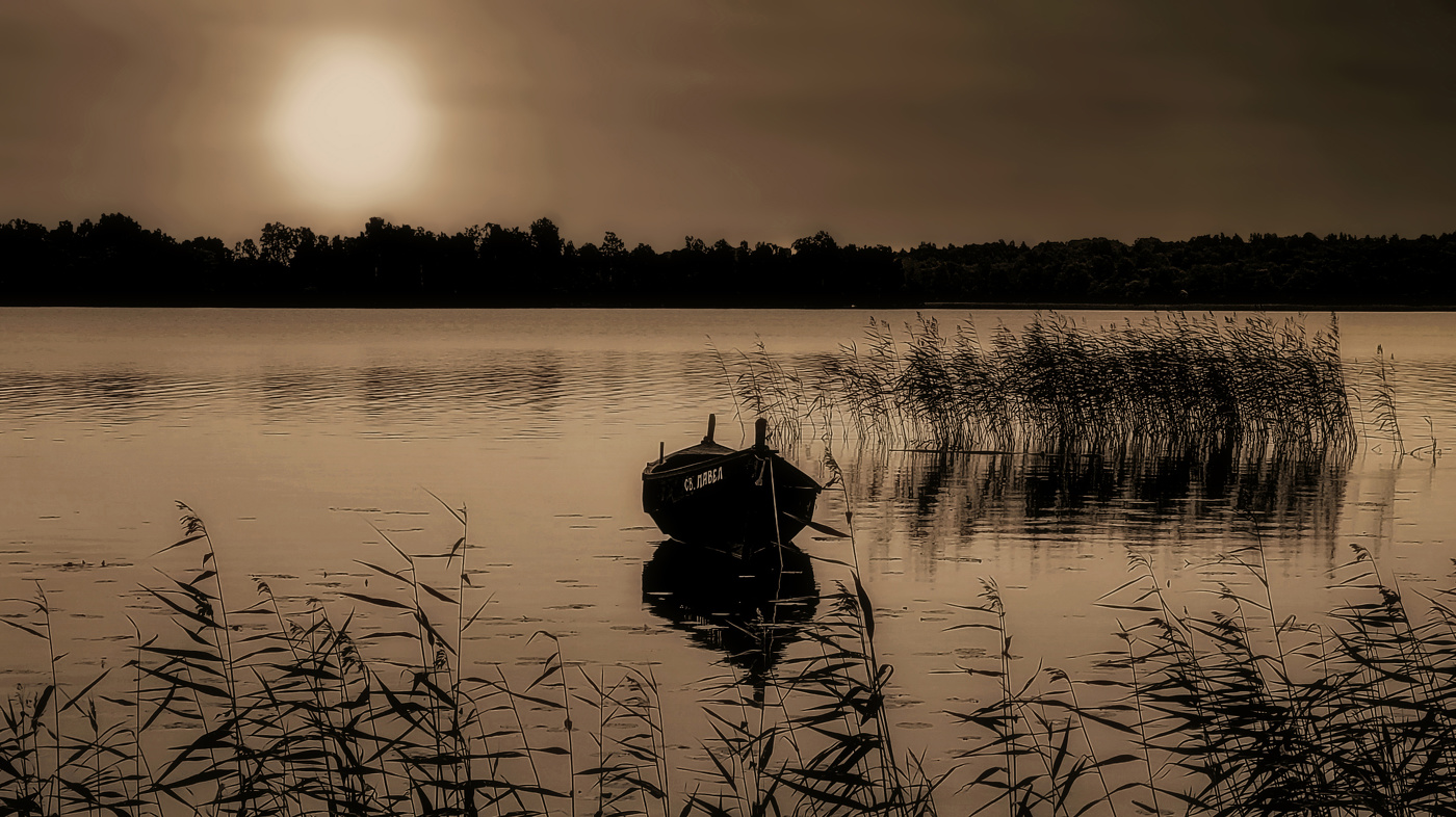 Только я и тишина.