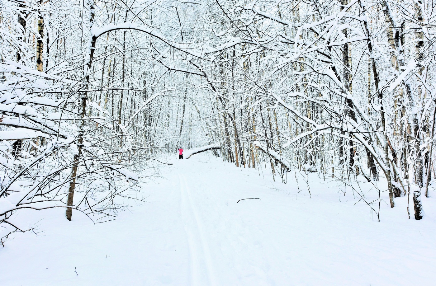 "На белом, белом покрывале января, любимой девушки я имя написал..."