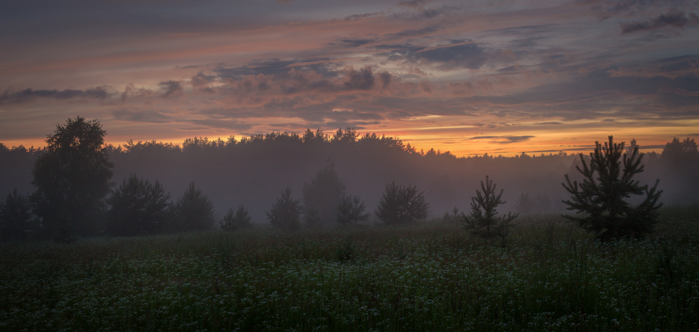 Вечер в поле