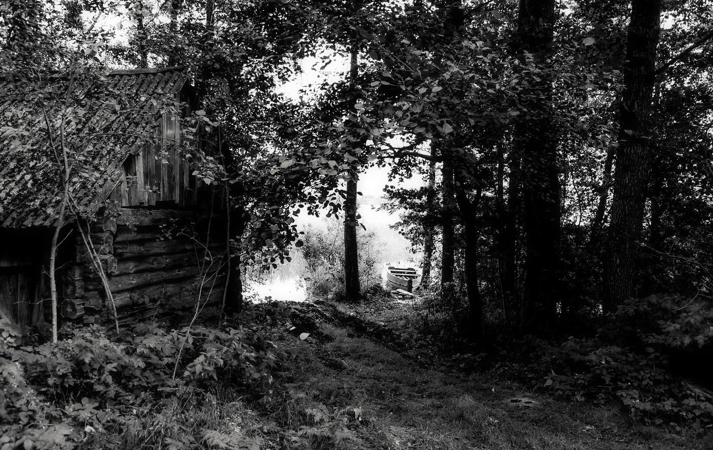 ТИШЬ ОЗЕРНАЯ