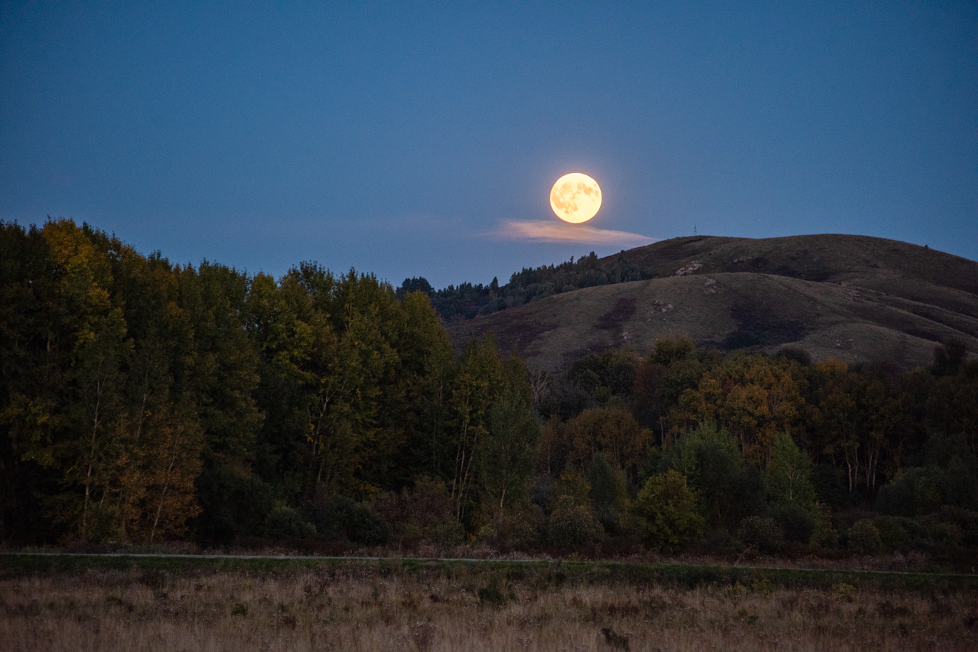 Полнолуние