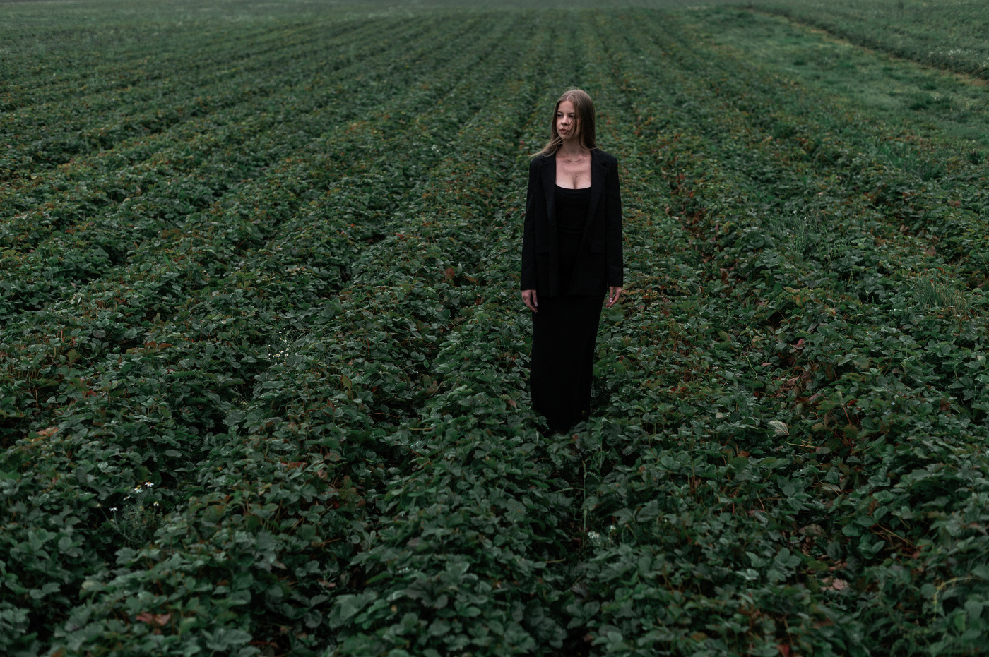 В поле клубники