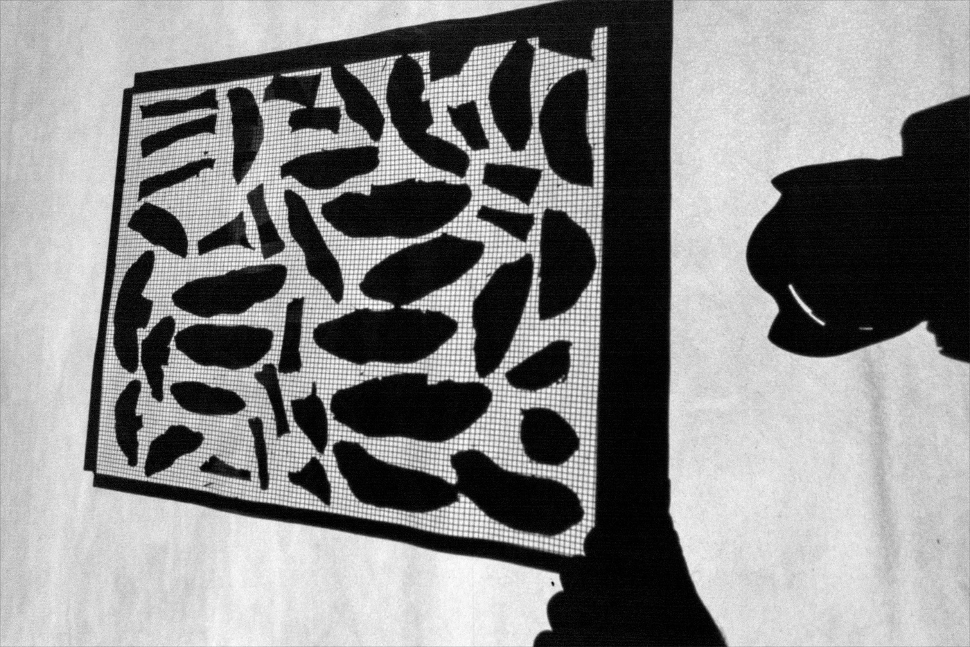 Жизнь вокруг