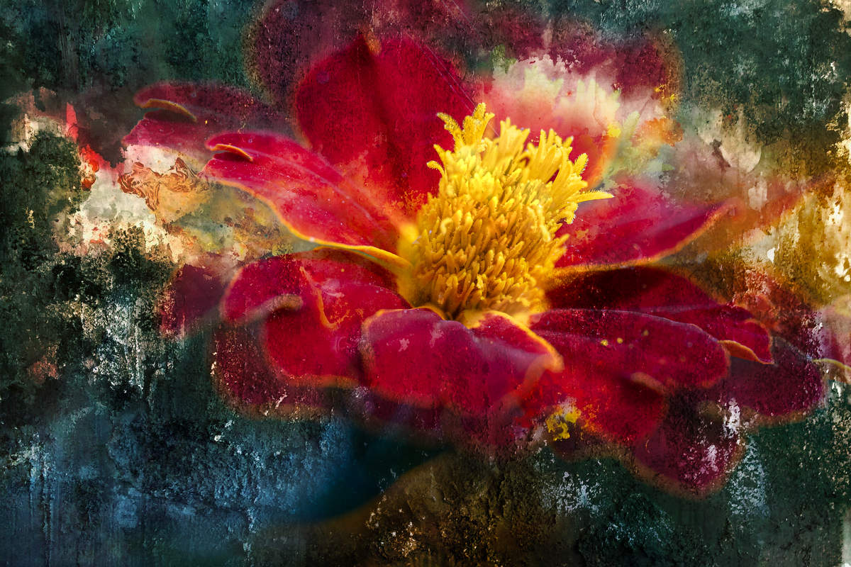 Fantasy of September