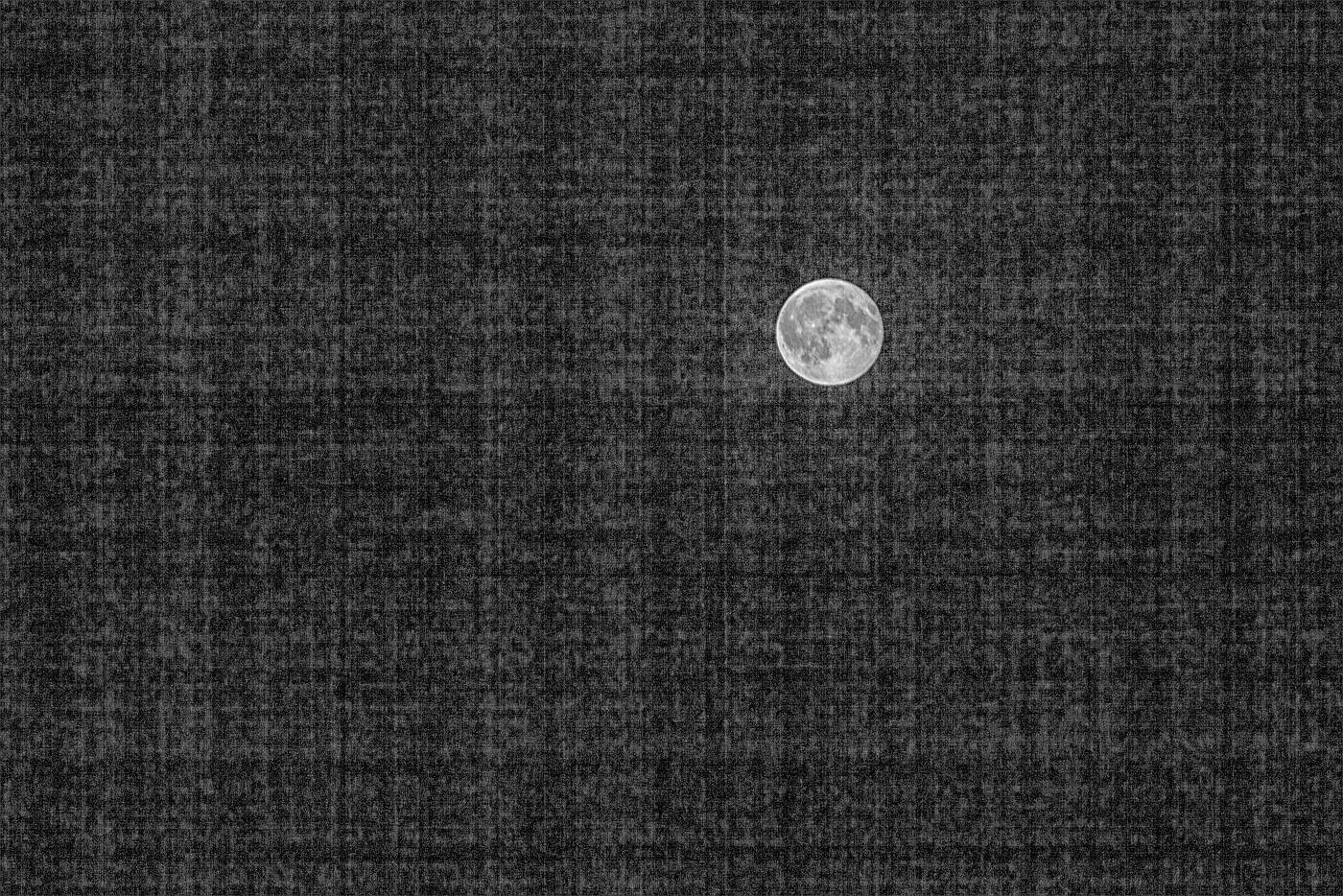 Жизнь вокруг