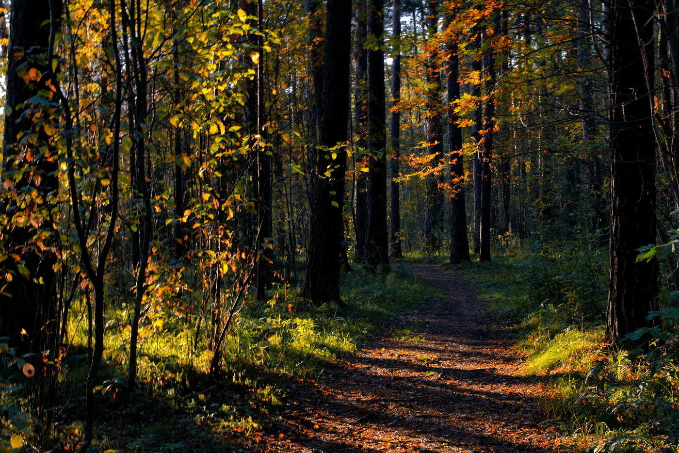 *Тёплым вечером.**