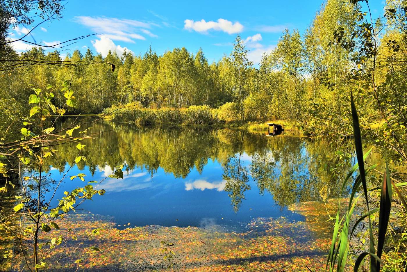 Безмятежность ...