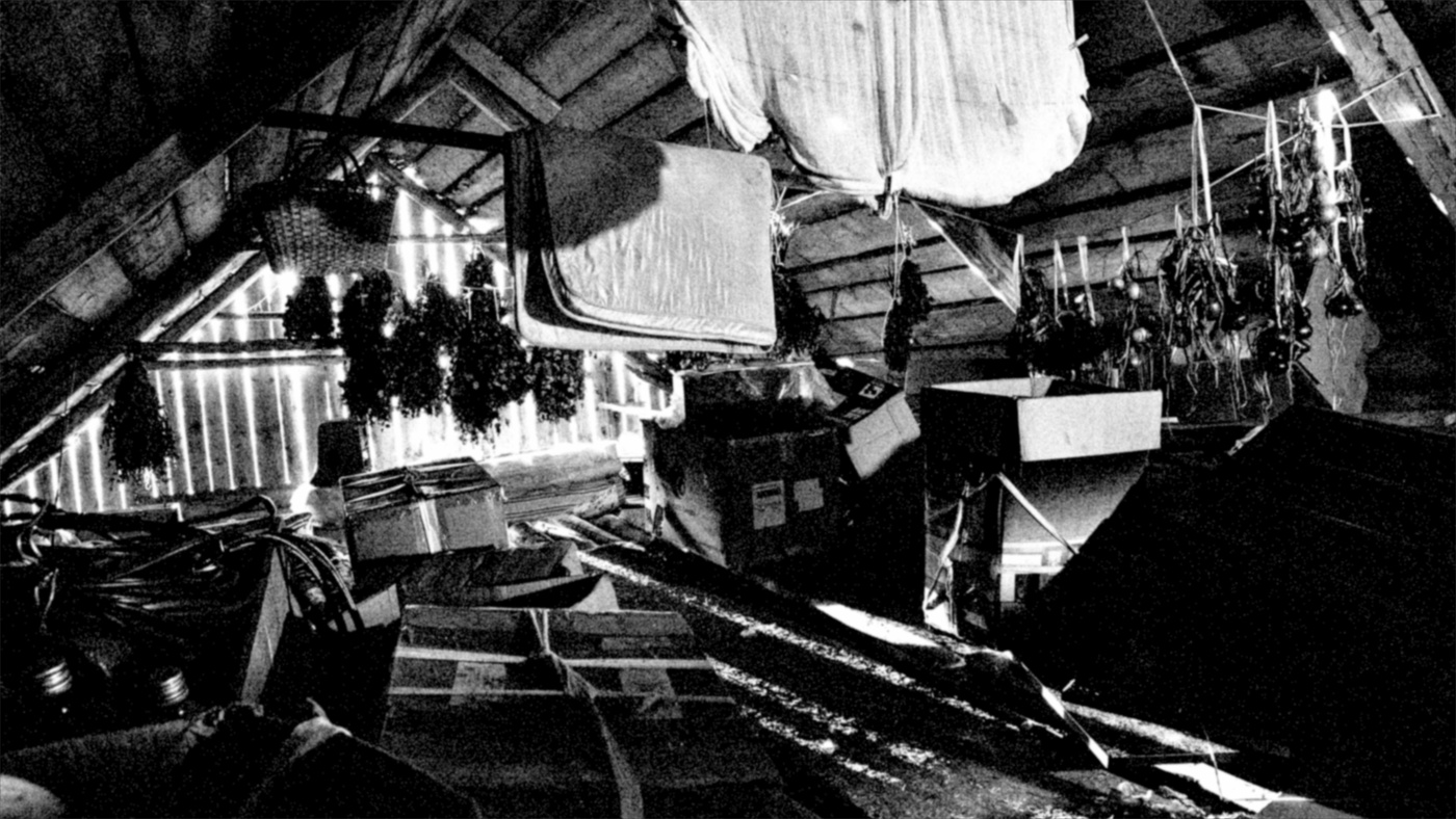 Жизнь вокруг