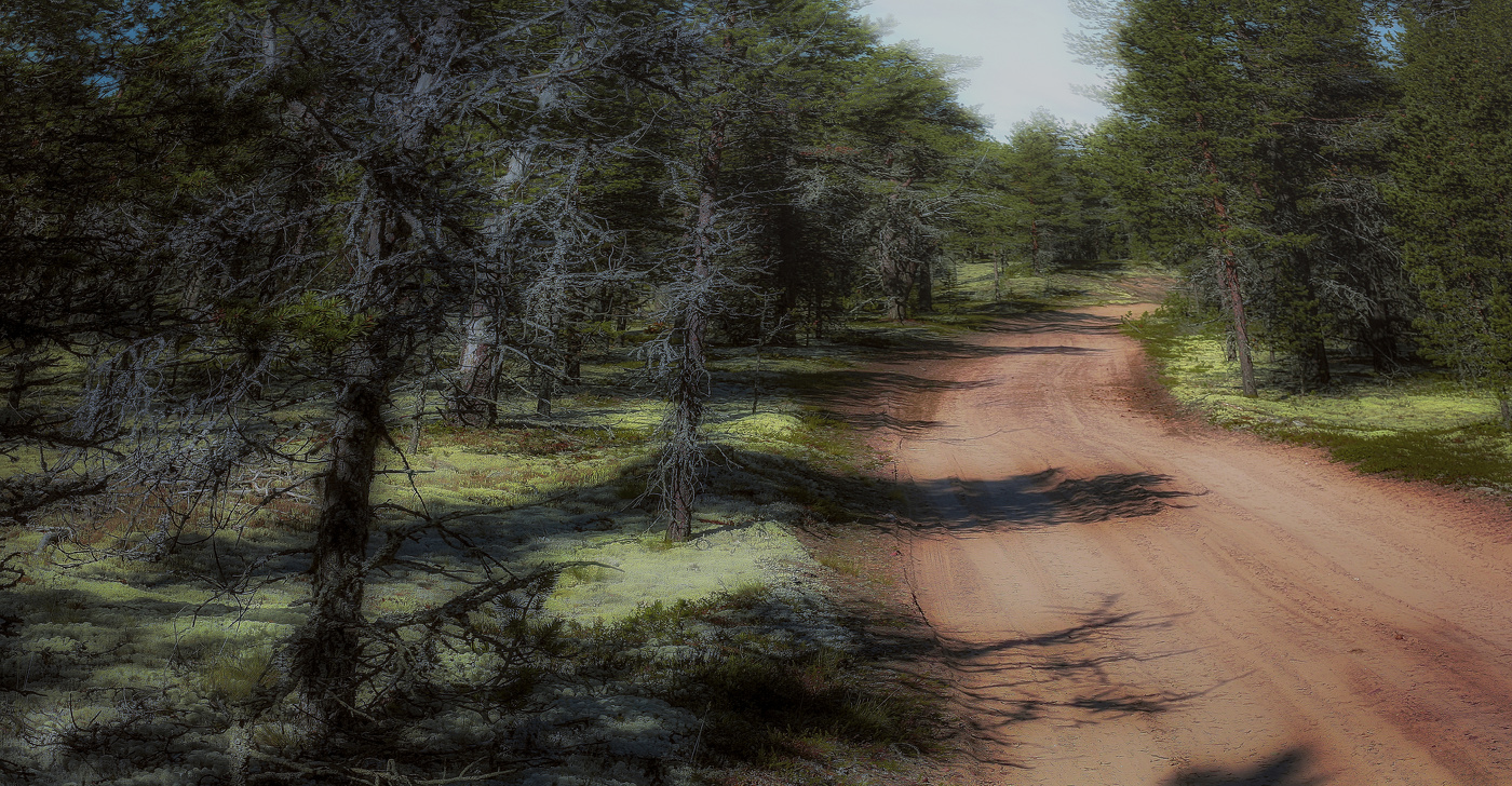 Долгая дорога.