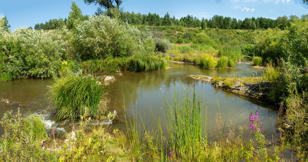 Лето в разгаре