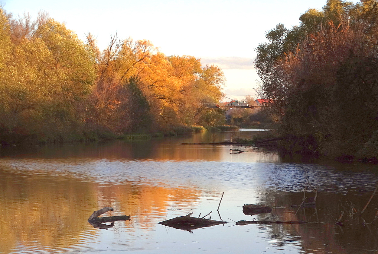 Золотая осень на Орлике