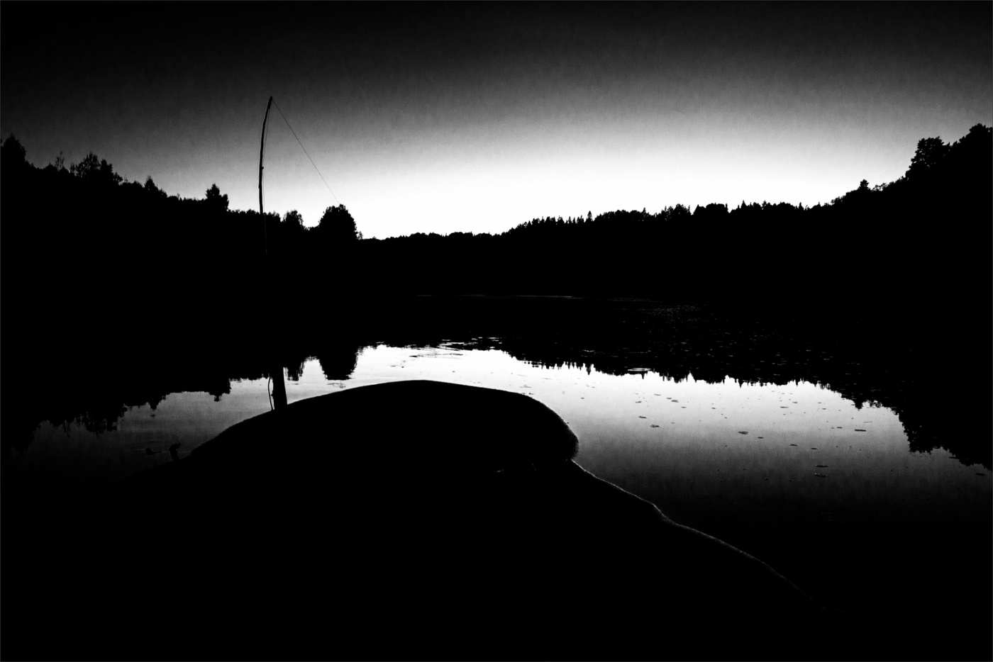 Жизнь вокруг