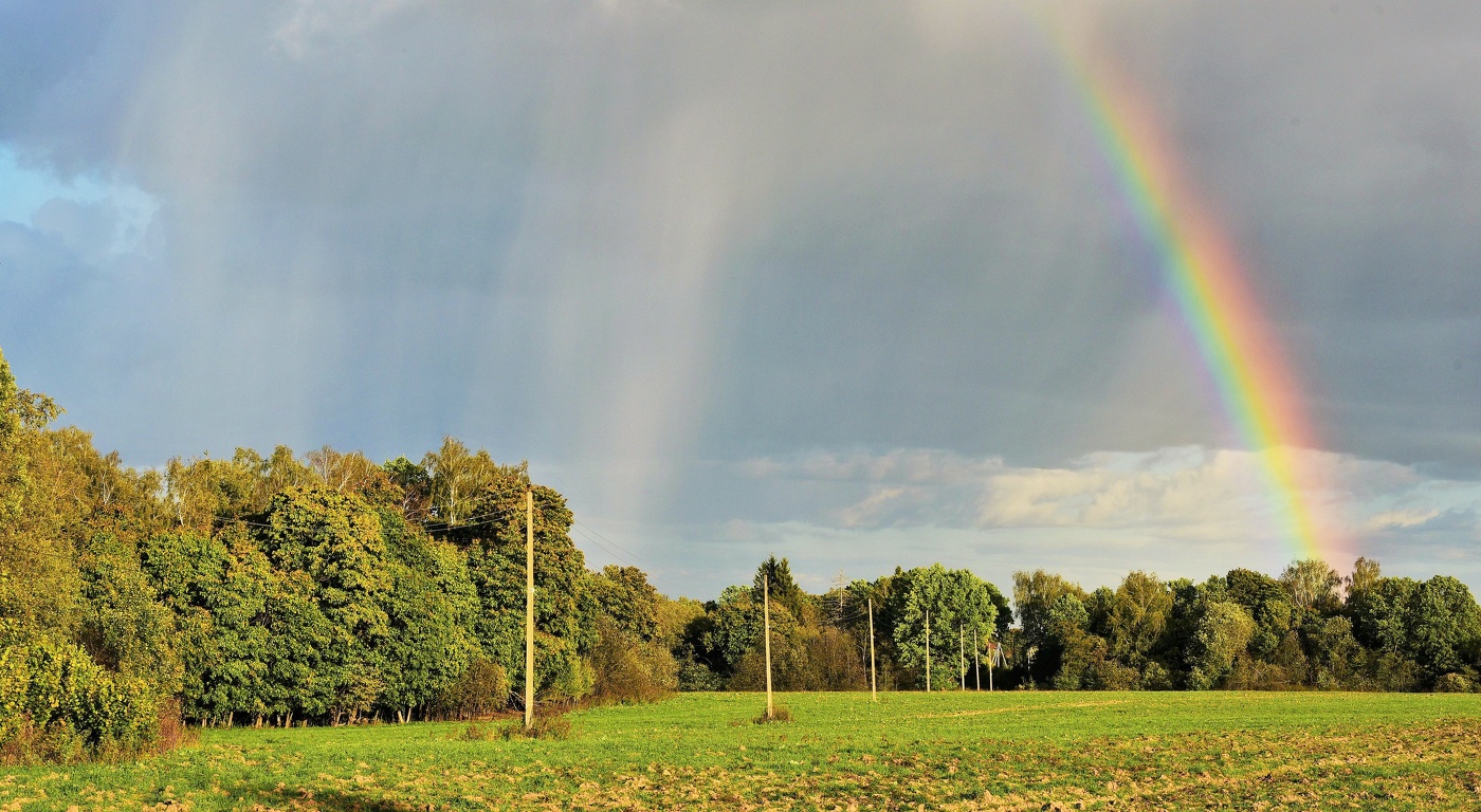 Дождь прошел ...