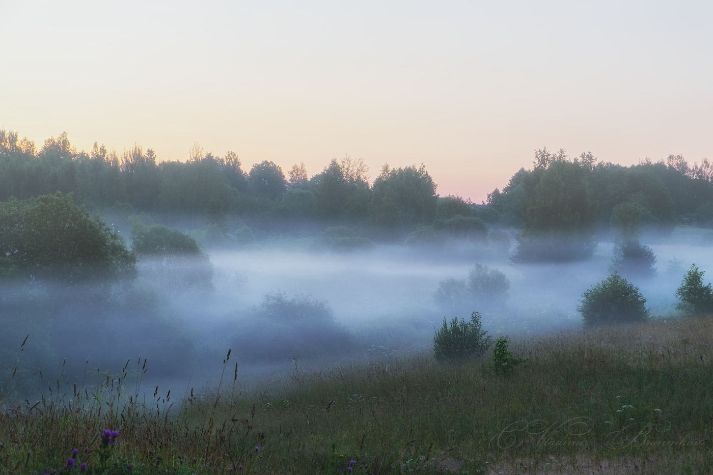 Туман над полем