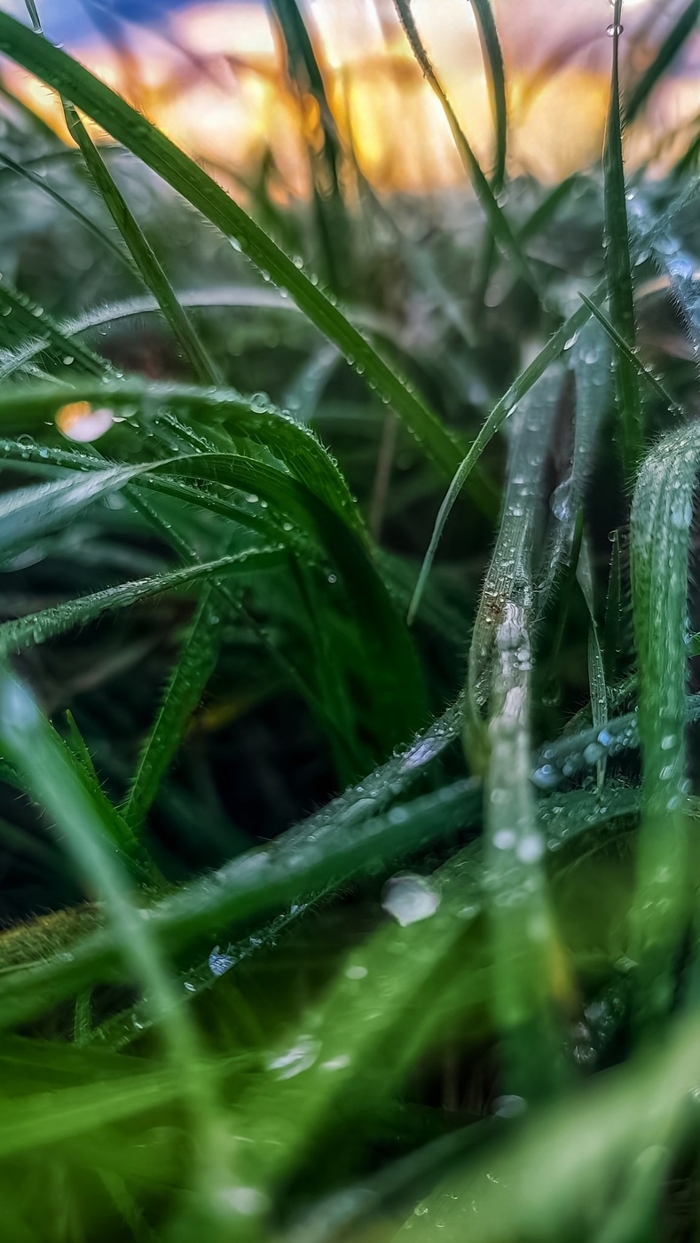 На закате после дождя