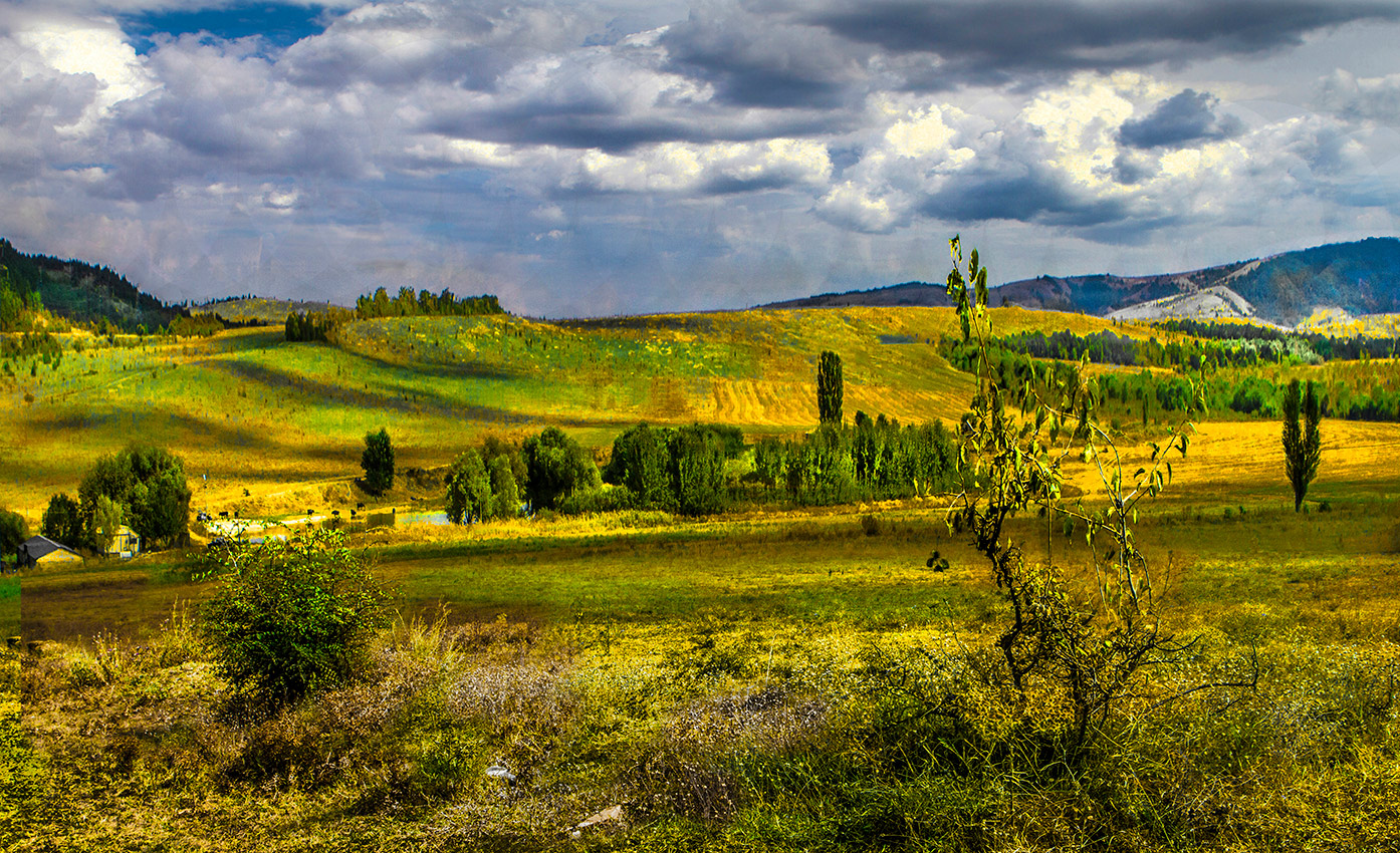 Осенний мотив