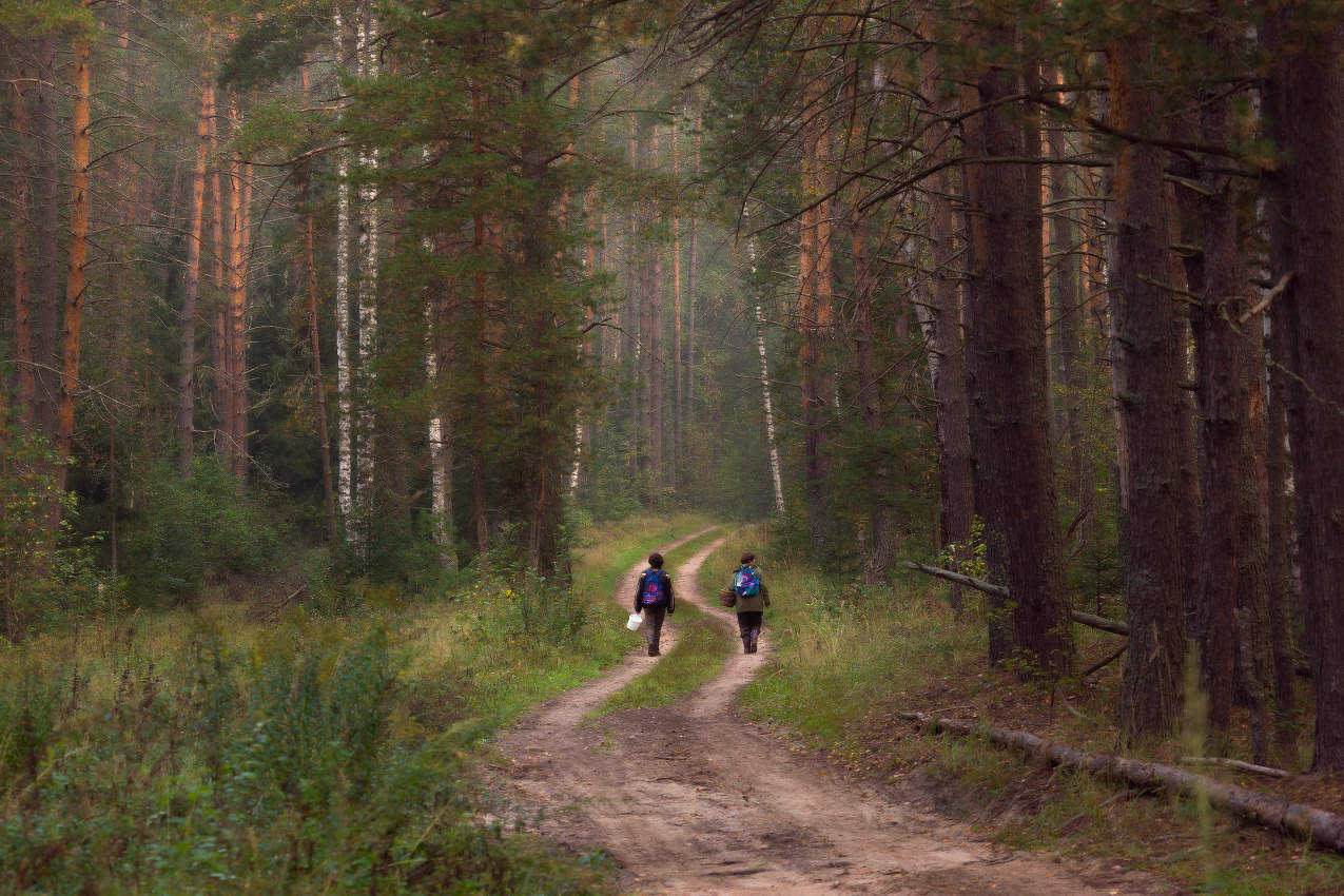 По утру с надеждой