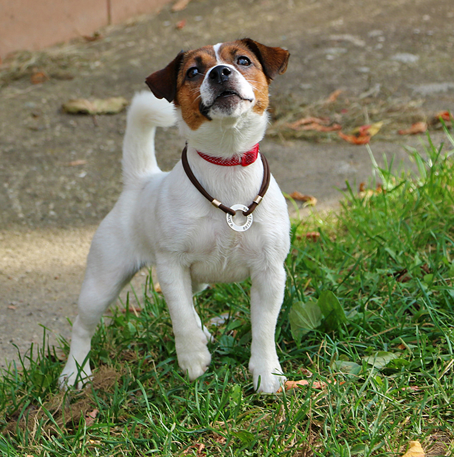 Что тебе надо, фотограф?