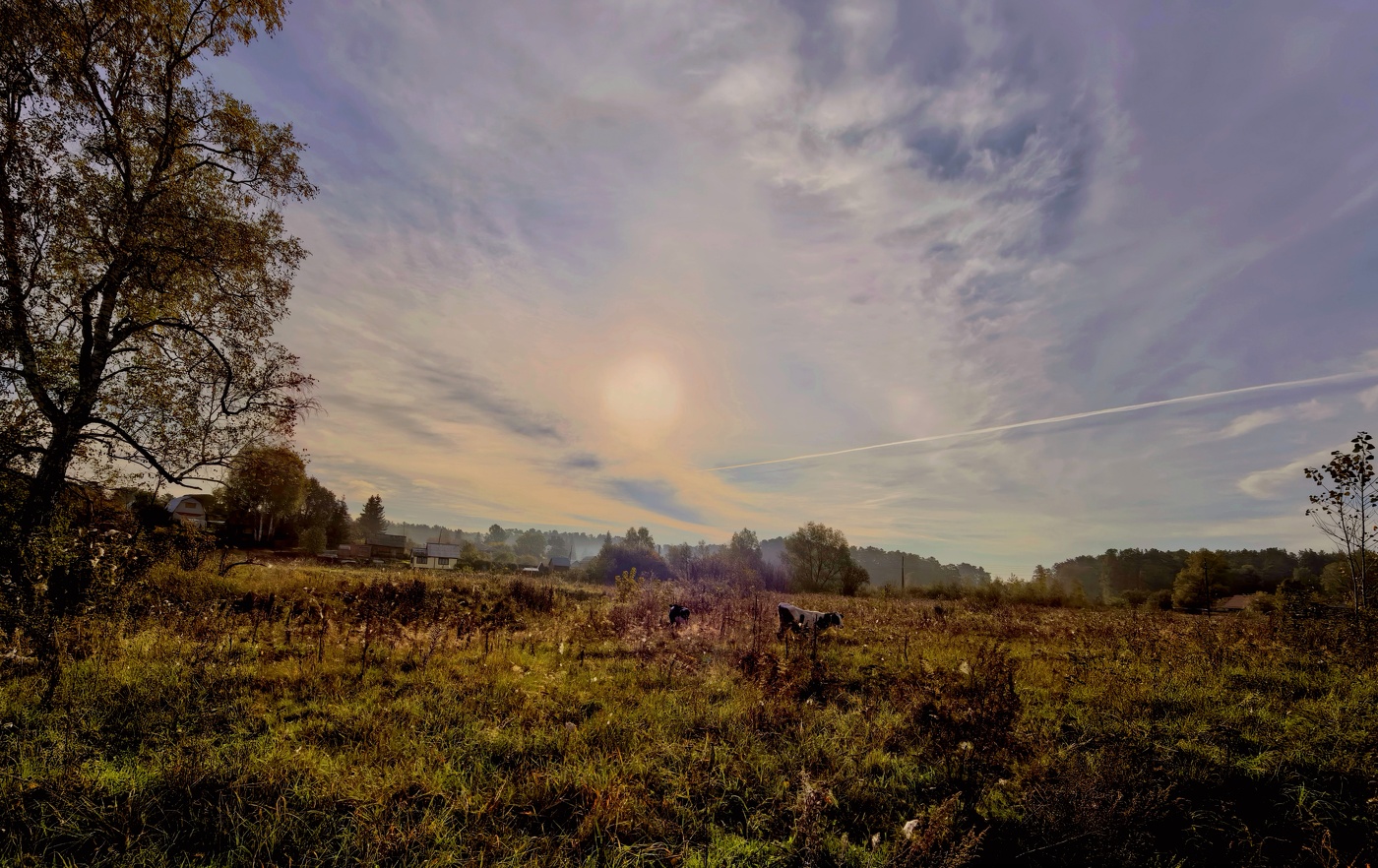 Утро в сентябре