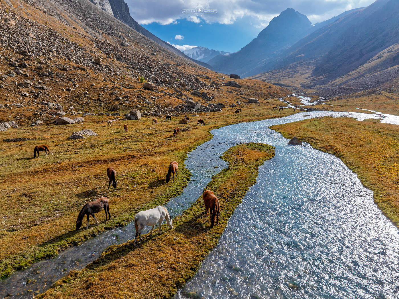 Высокогорное пастбище