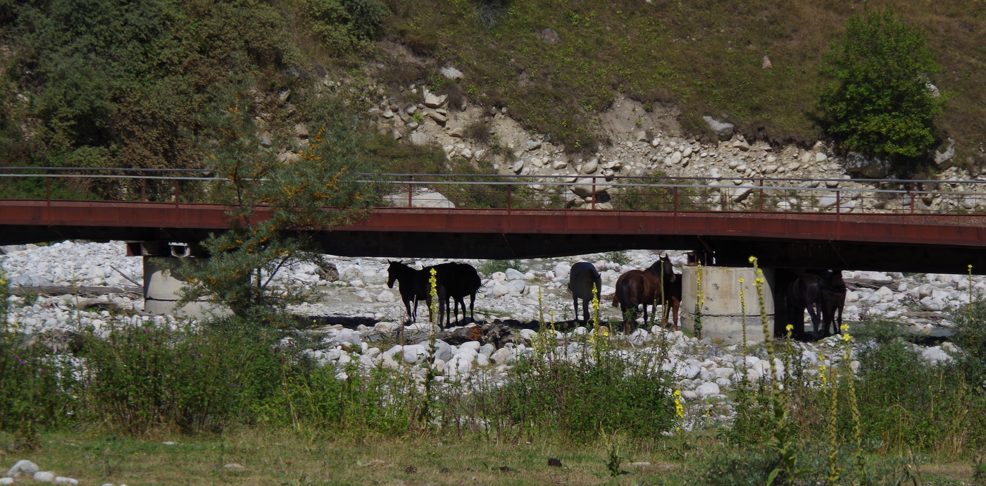 От летнего зноя