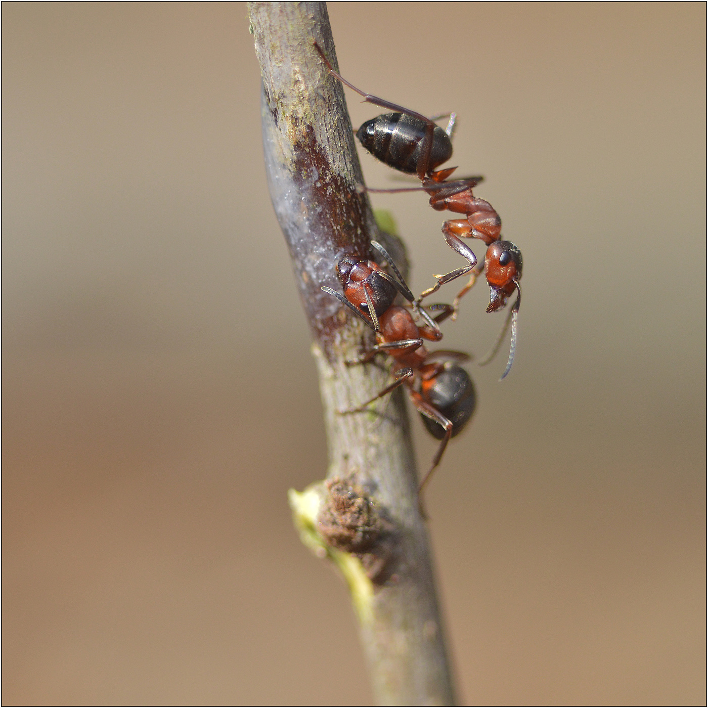 Ты, что прилип?