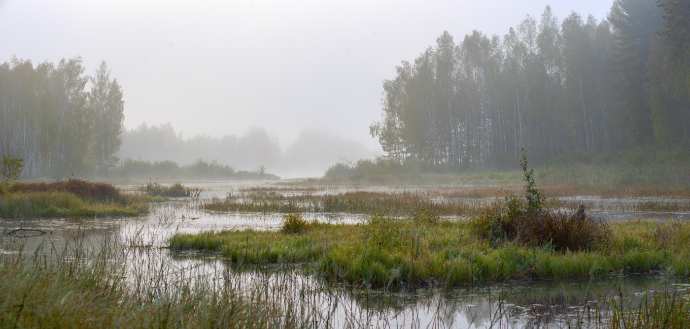 Здесь щука есть, но взять - проблема.