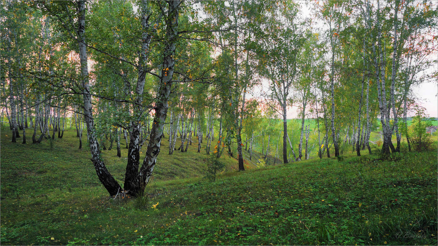 Прикоснулась к лету осень