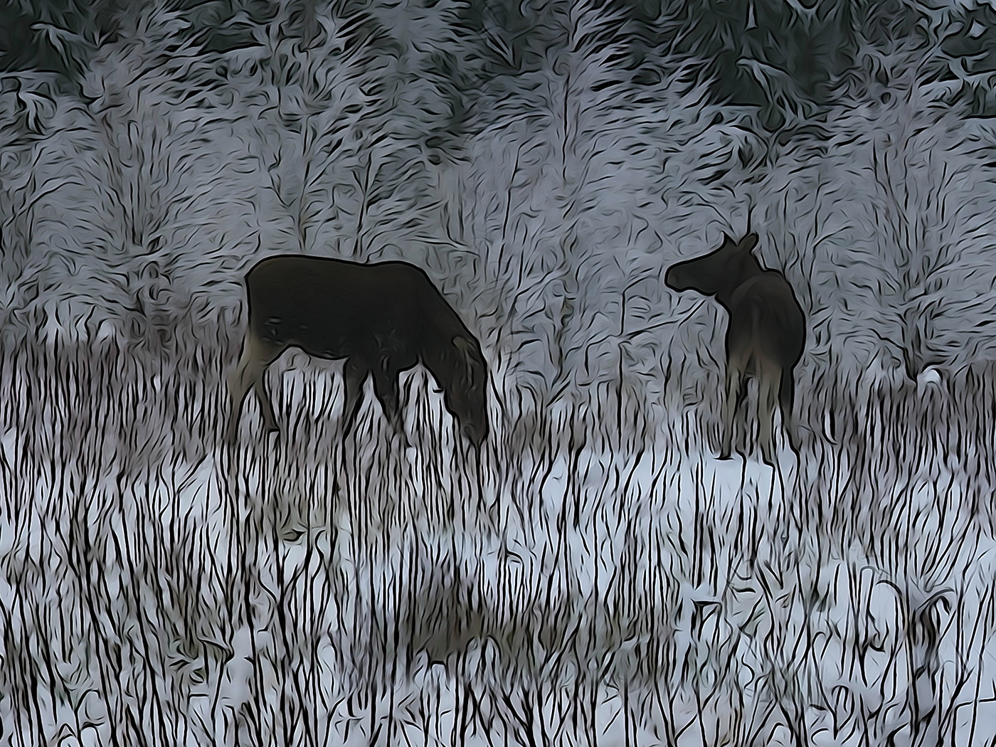 Зимний сюжет