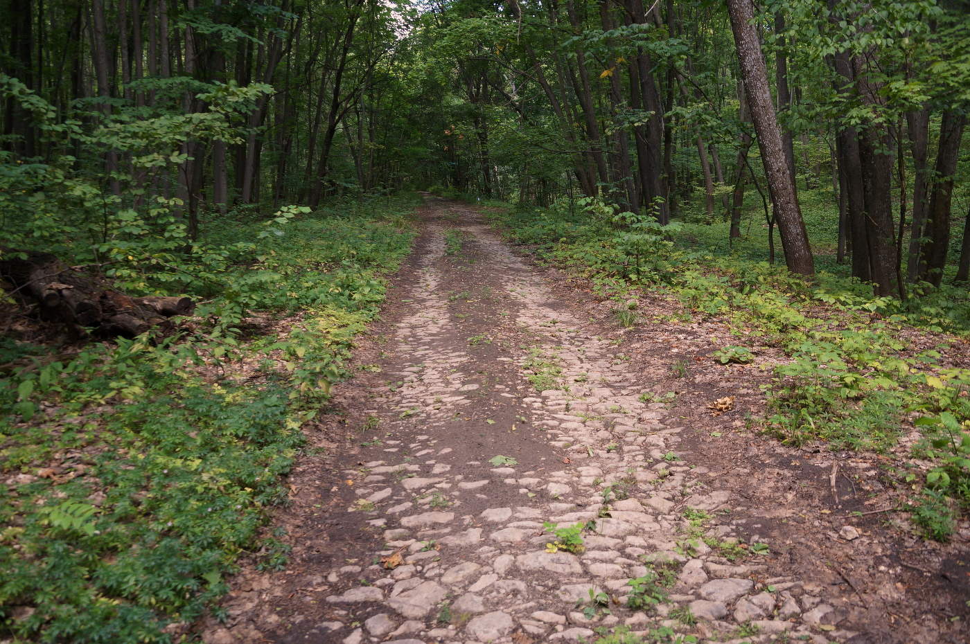 Farewell Yellow Brick Road