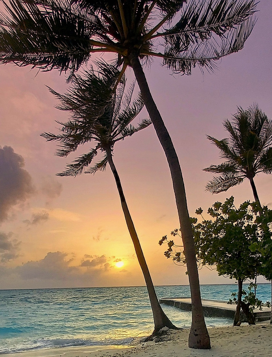 Вечернее море шептало нам сказки.