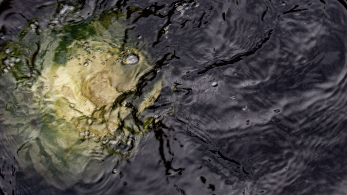 Жизнь вокруг