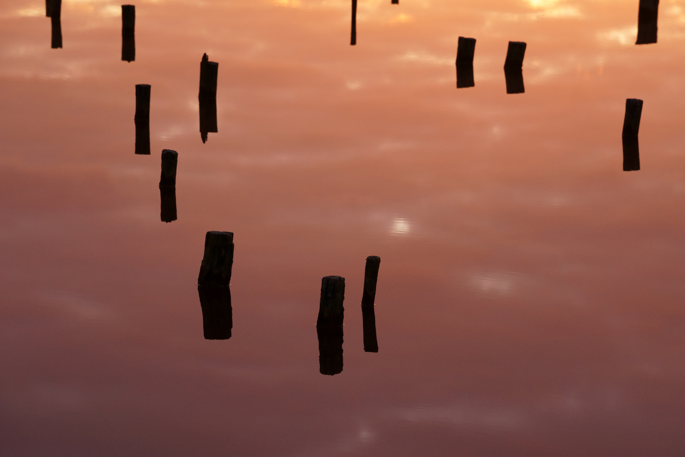 Слушая Мартынова