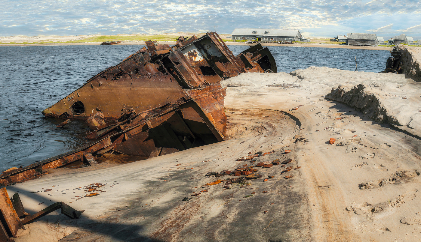 Собачьи следы.