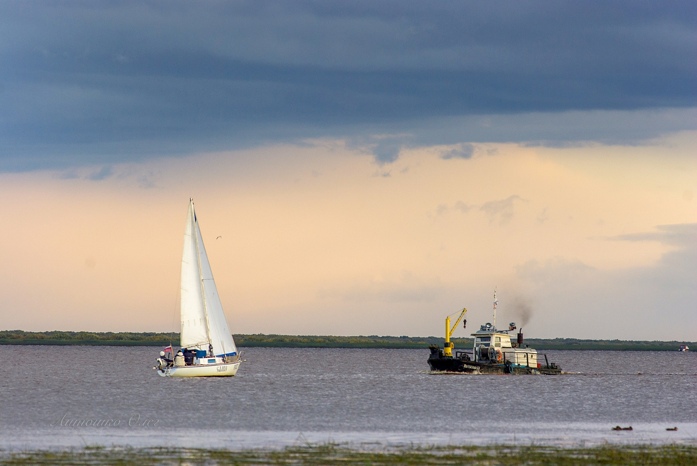 Река Волхов.