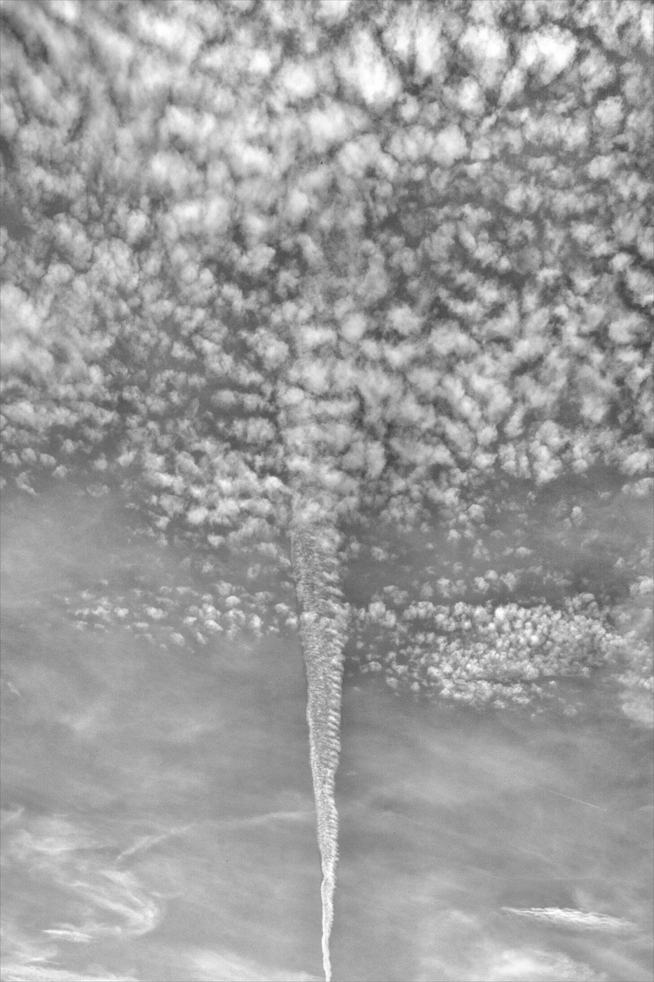 Жизнь вокруг