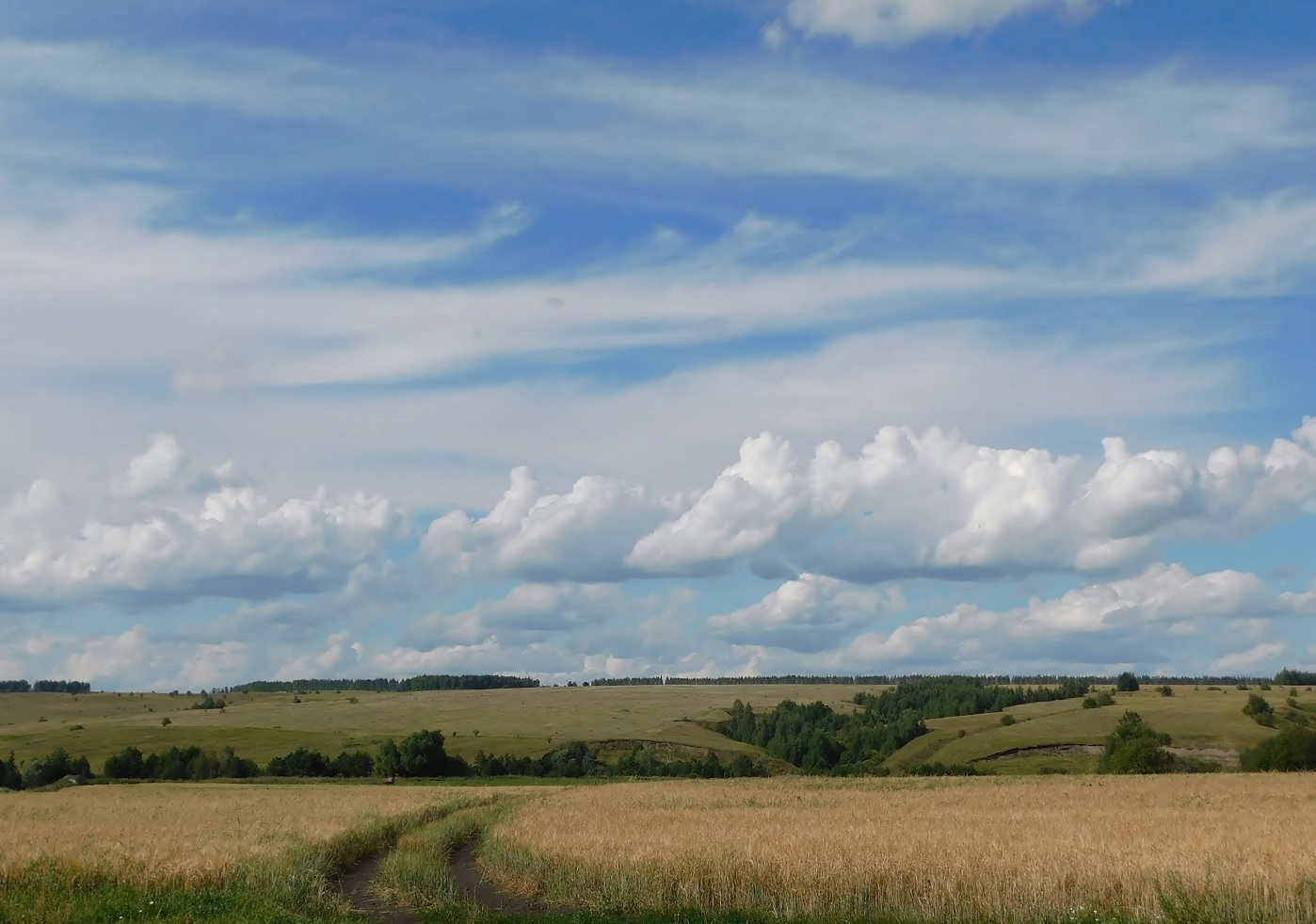 Дорога в поле