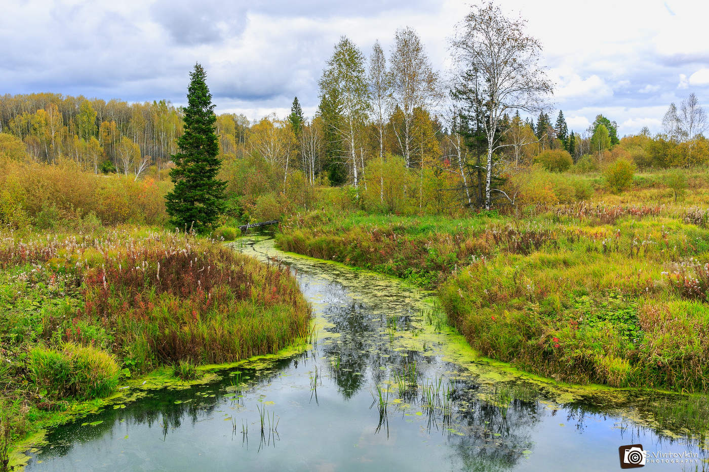Осень в Бобрином логу