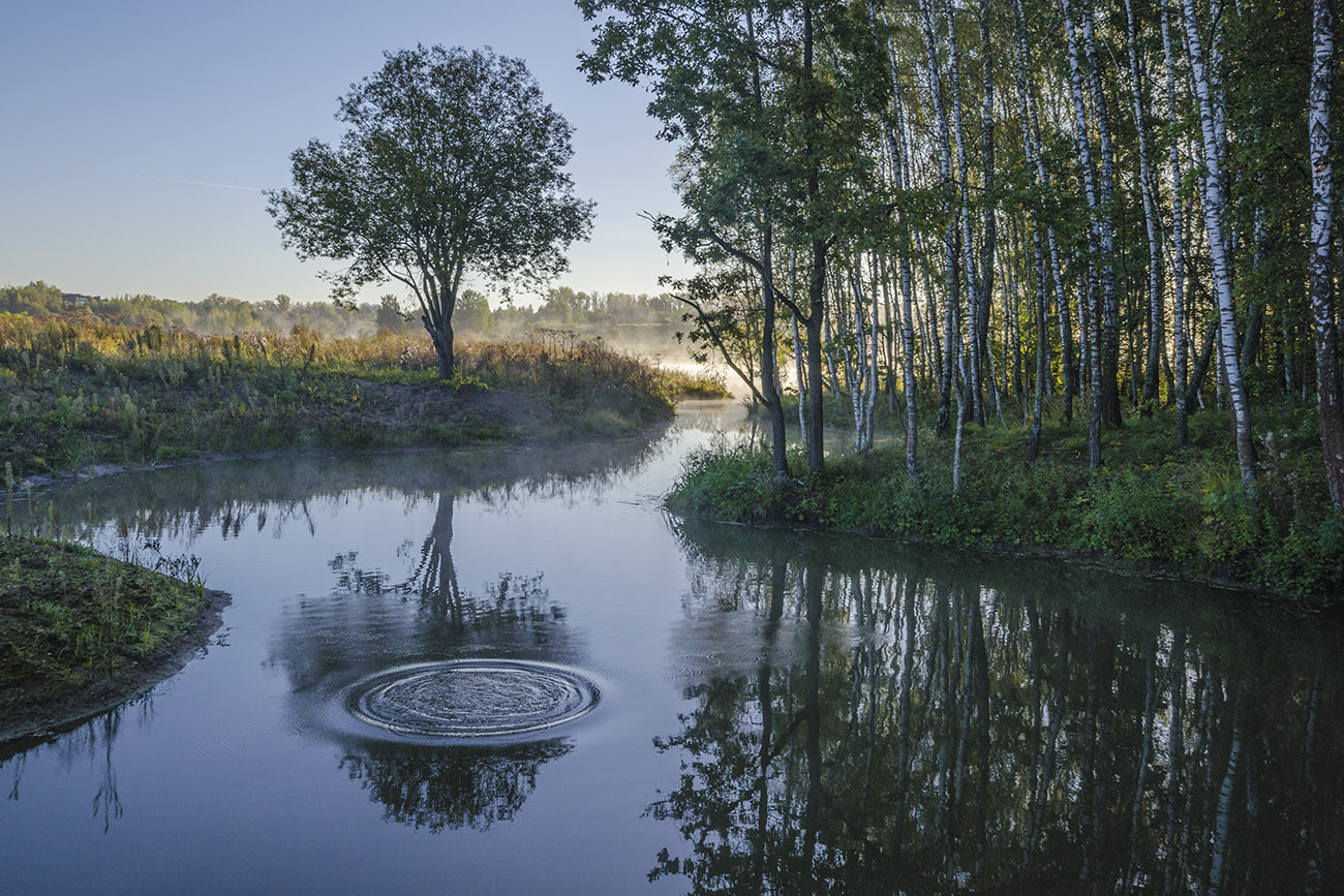 Потревоженное отражение