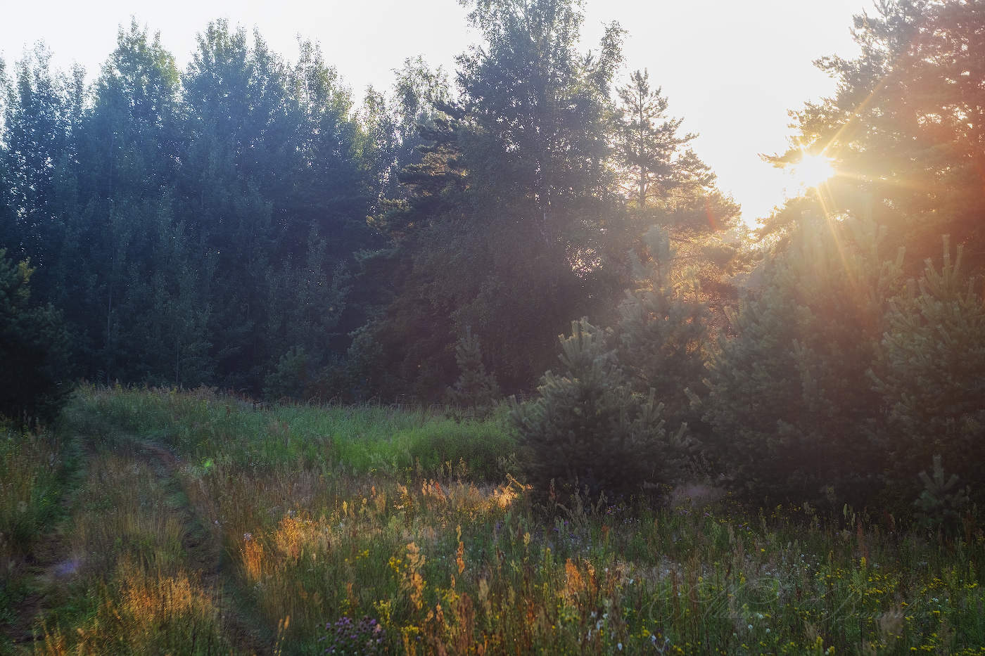 Утренняя дорога